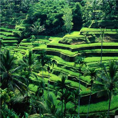 bd半岛·体育中国官方网站