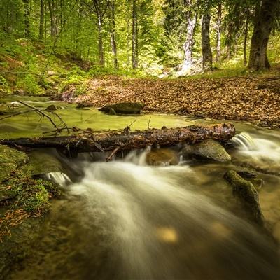 b体育必一官方下载入口