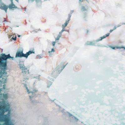 博雅体育app下载官网手机版