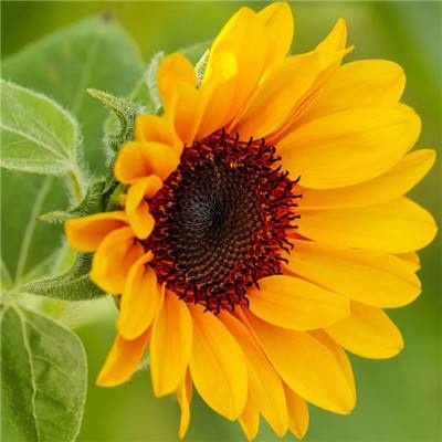 PG电子游戏下载